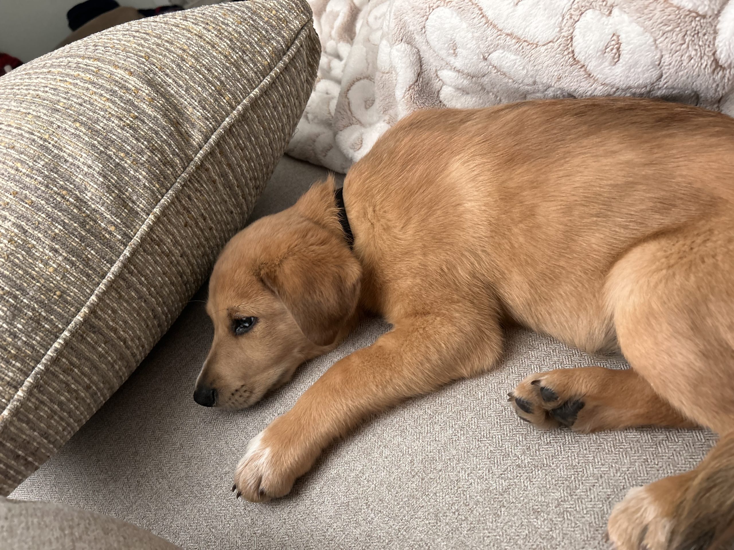 Buying a home in Lincolnton, NC with Tina Clark, REALTOR Century 21 Town & Country Realty